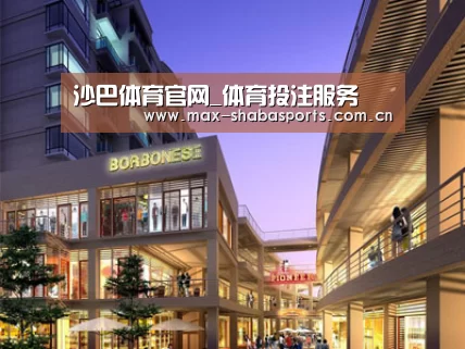 案例展示一(图1)