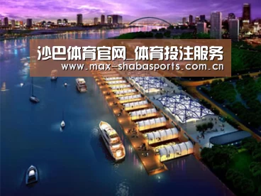 案例展示八(图1)