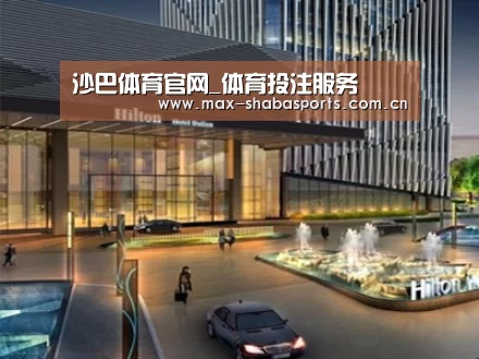 案例展示二