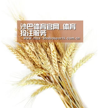 沙巴体育官网_体育投注服务