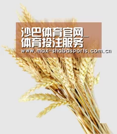 沙巴体育官网_体育投注服务