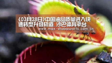 沙巴体育官网