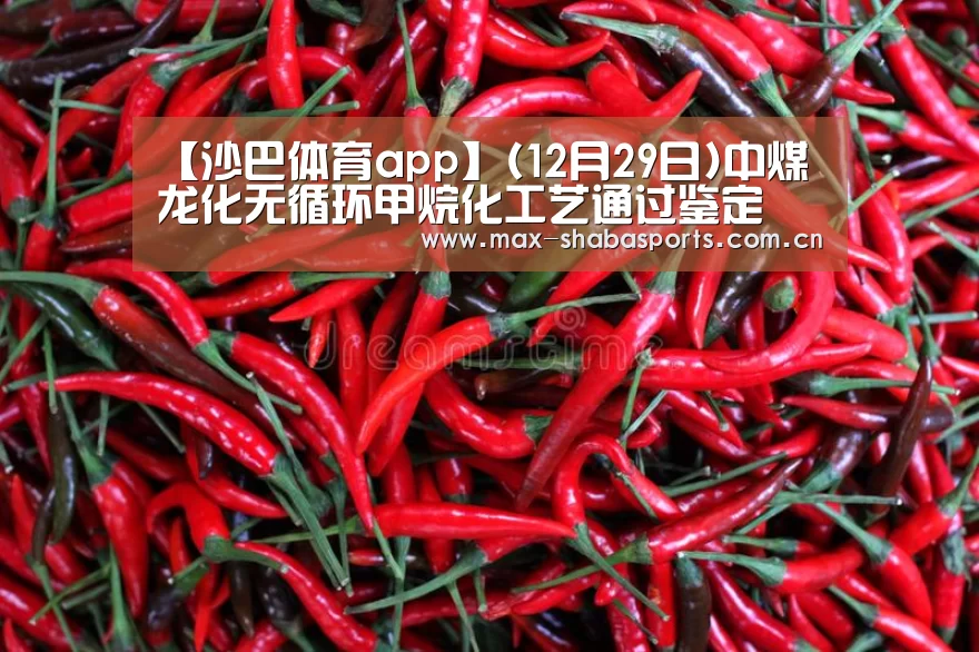 沙巴体育app