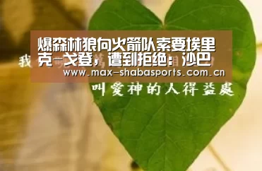 爆森林狼向火箭队索要埃里克-戈登,遭到拒绝:沙巴体育官网(图3) 沙巴体育平台