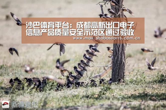 沙巴体育平台:成都高新出口电子信息产品质量安全示范区通过验收(图3) 沙巴赛事