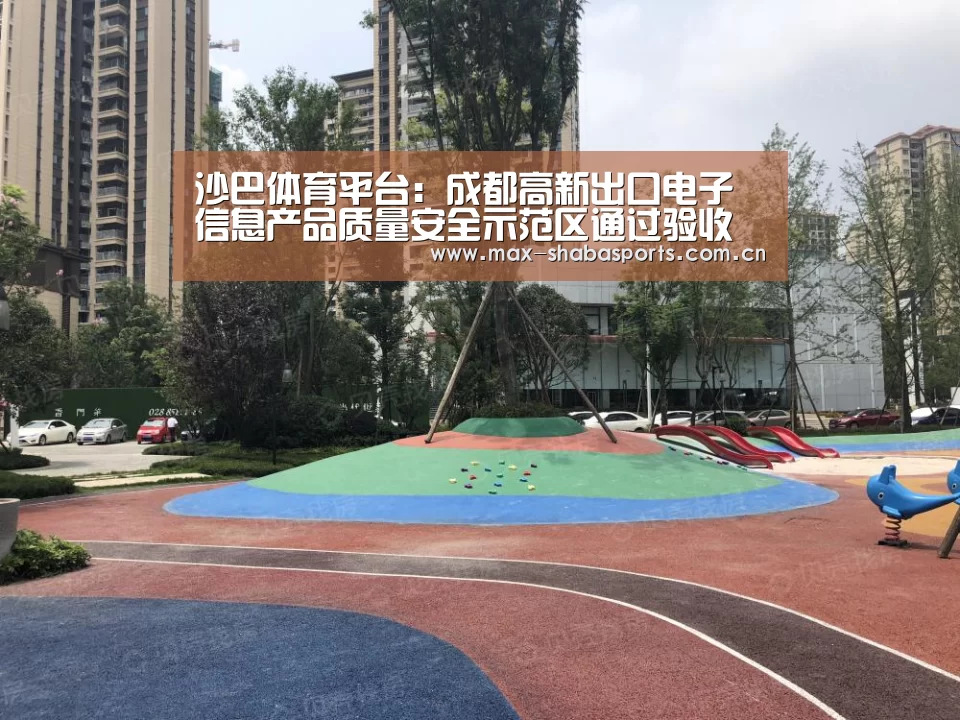 沙巴体育平台:成都高新出口电子信息产品质量安全示范区通过验收(图2) 沙巴赛事