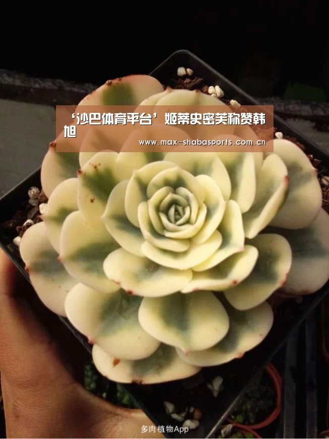 沙巴赛事