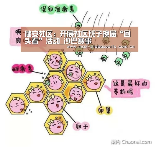 健安社区:开展社区班子换届“回头看”活动_沙巴赛事(图1) 沙巴赛事